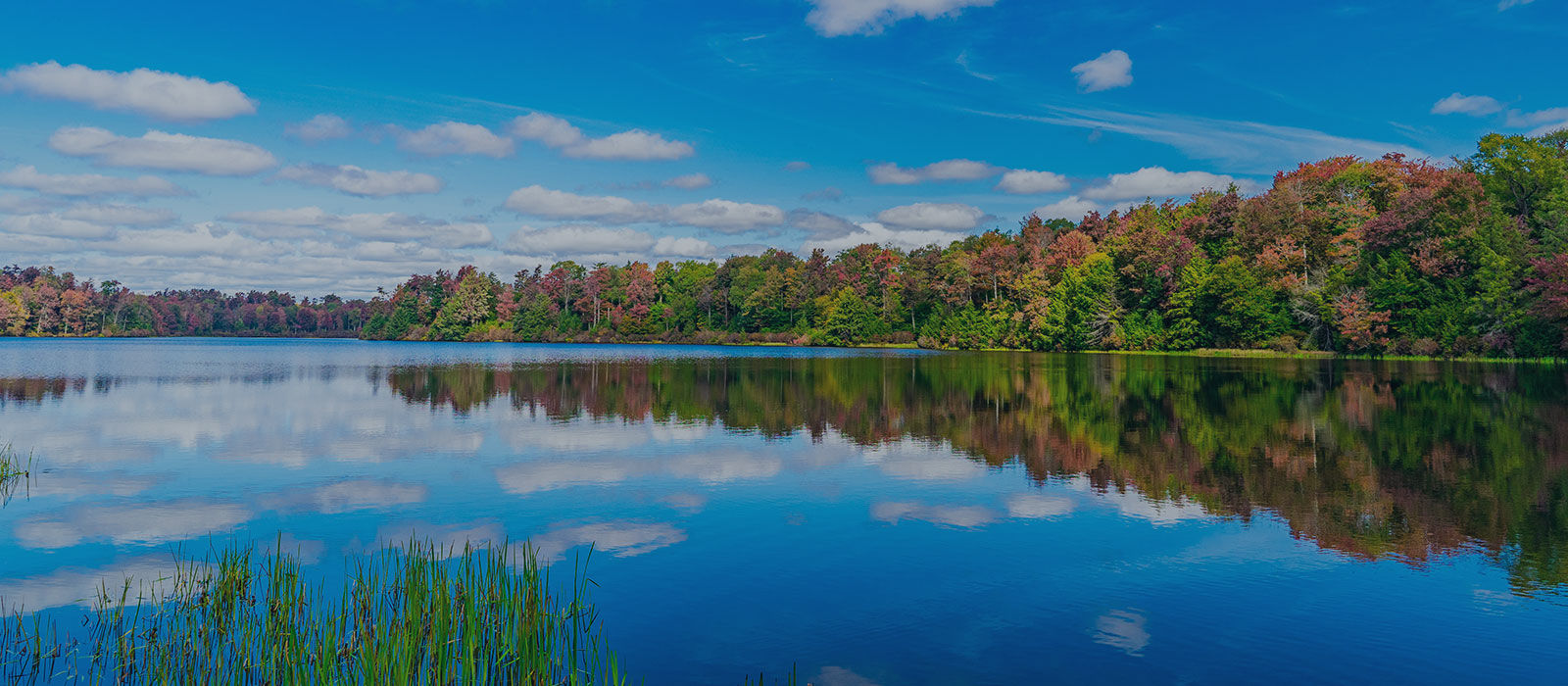 Boat on a Lake